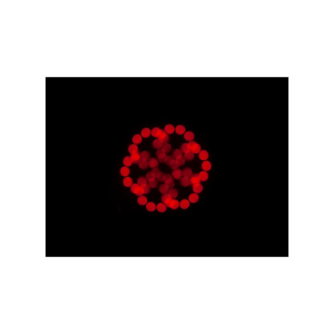 ADJ Focus Spot 5Z - Image 12