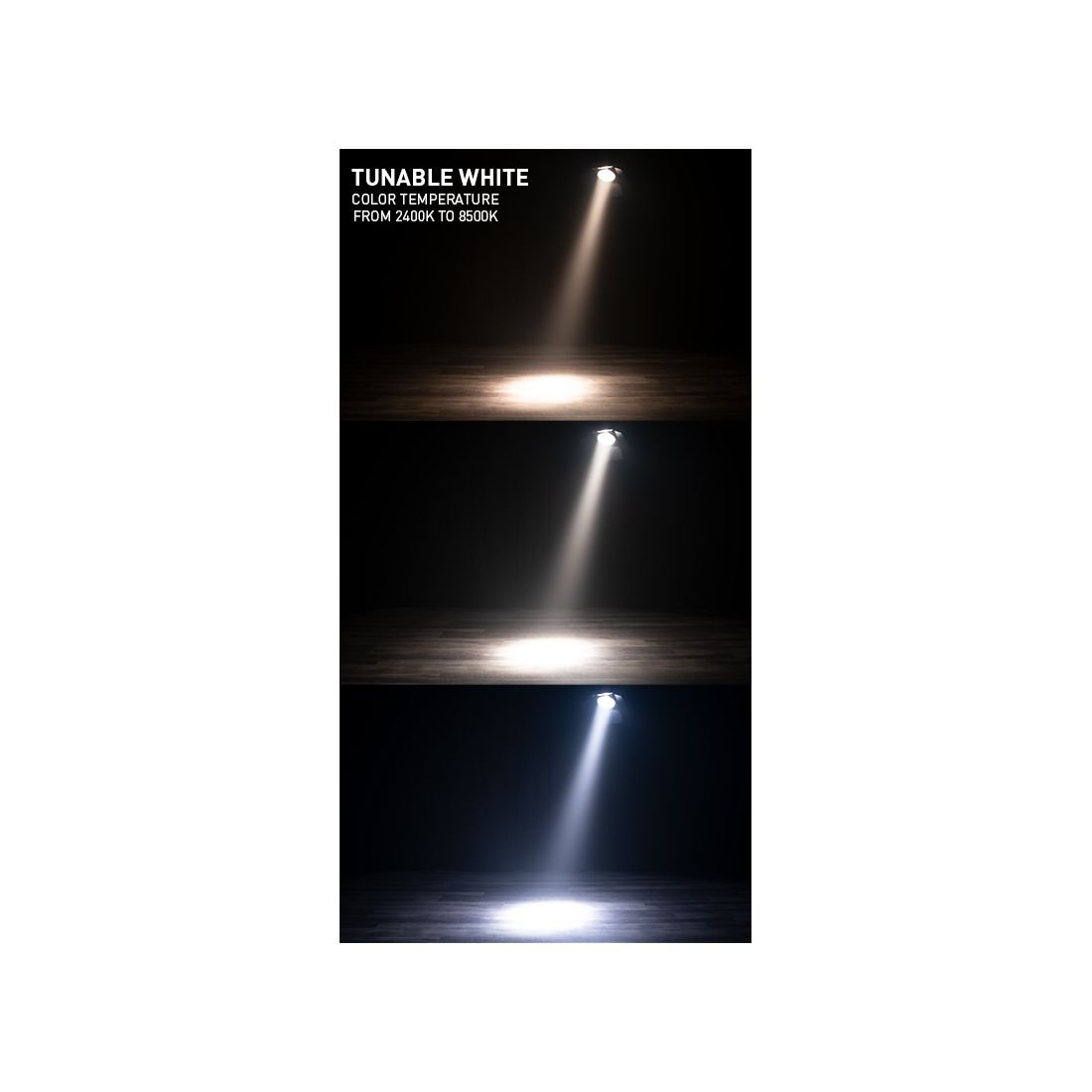 Encore FR Pro Color - Image 2